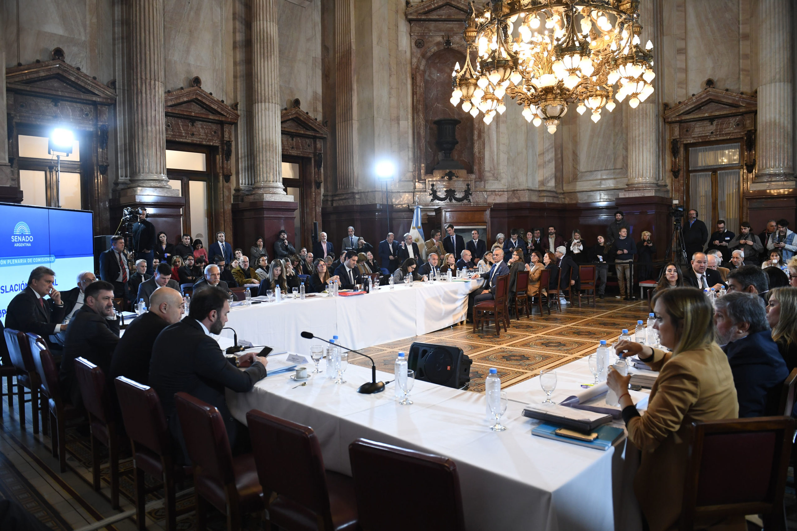 Ley Bases El Oficialismo Consigui Dictamen En El Senado